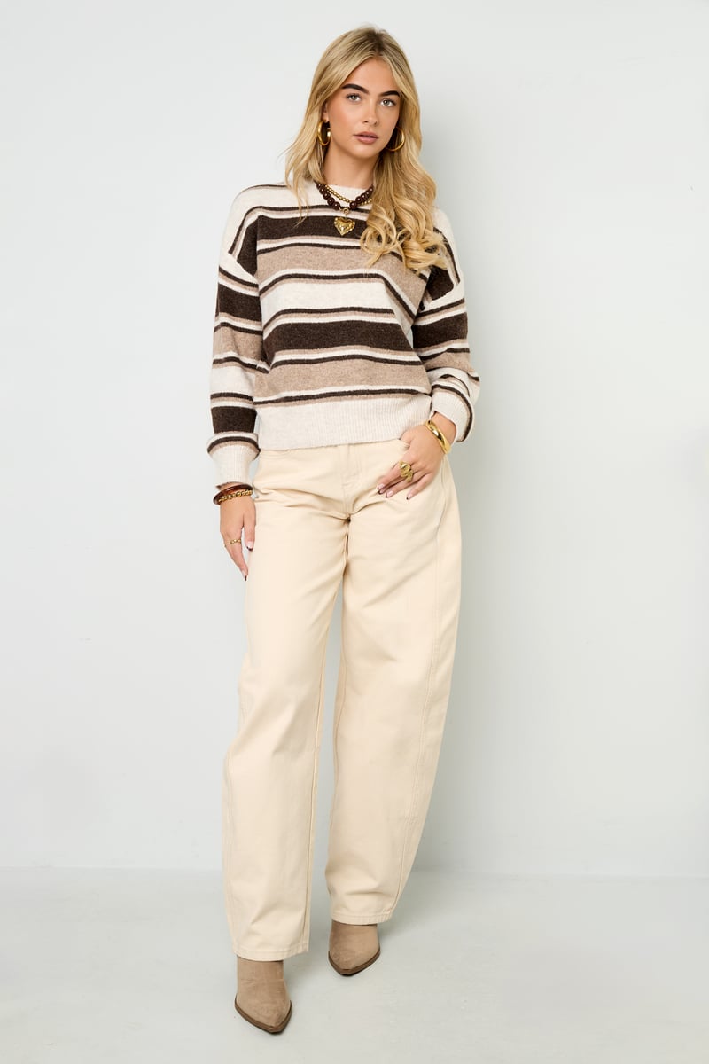 The Cozy Stripe Knit