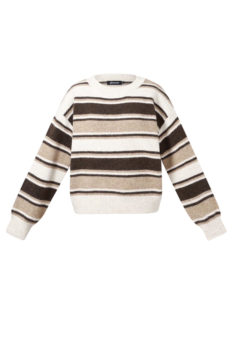 The Cozy Stripe Knit