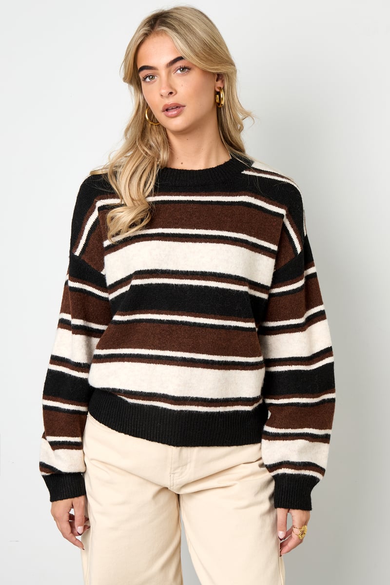 The Cozy Stripe Knit